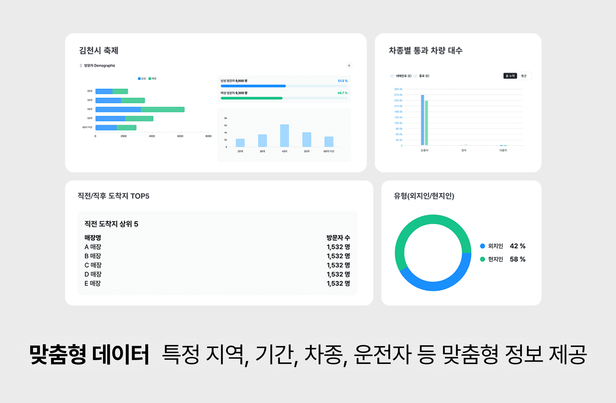 맞춤형 데이터