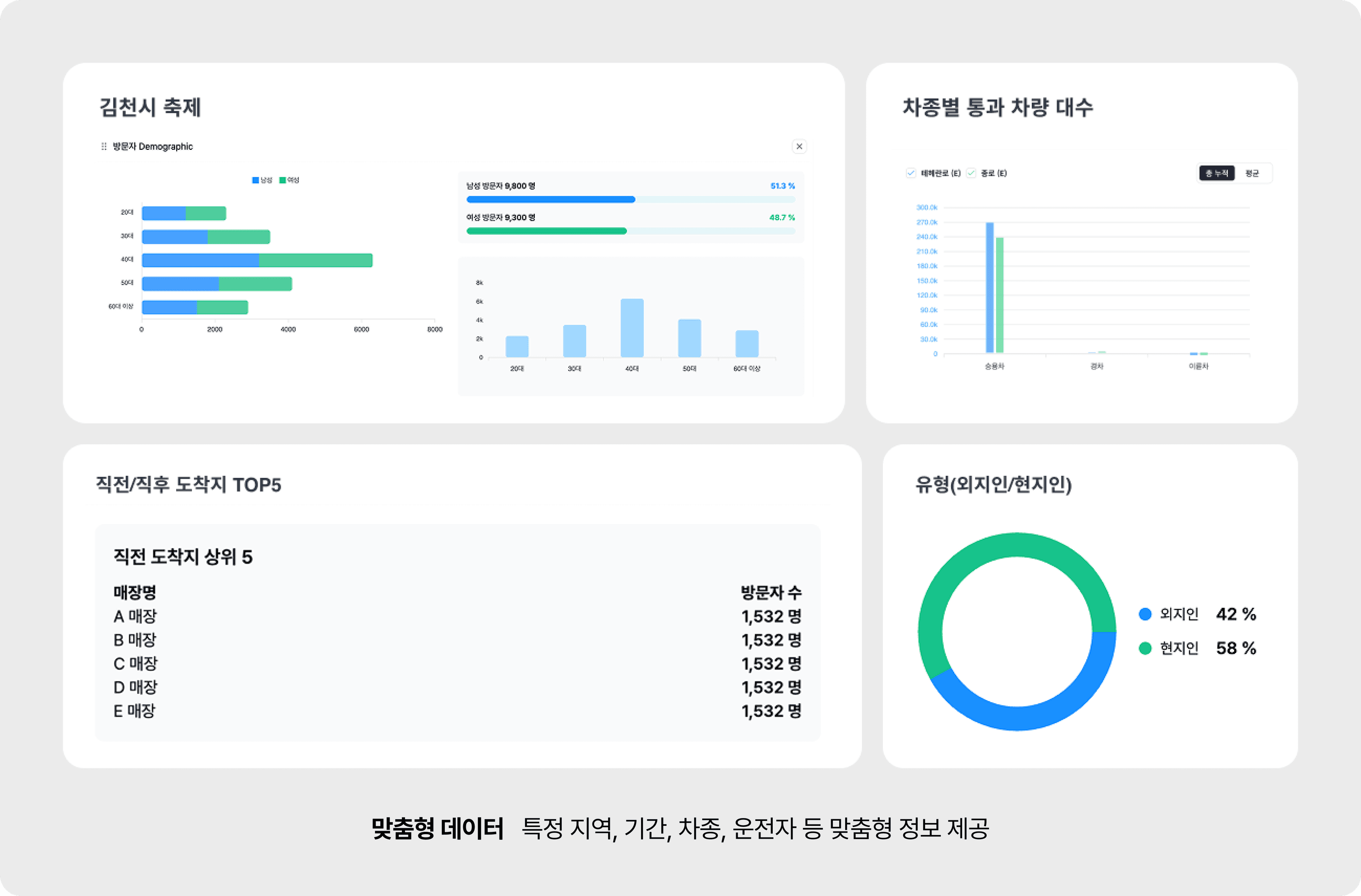 맞춤형 데이터