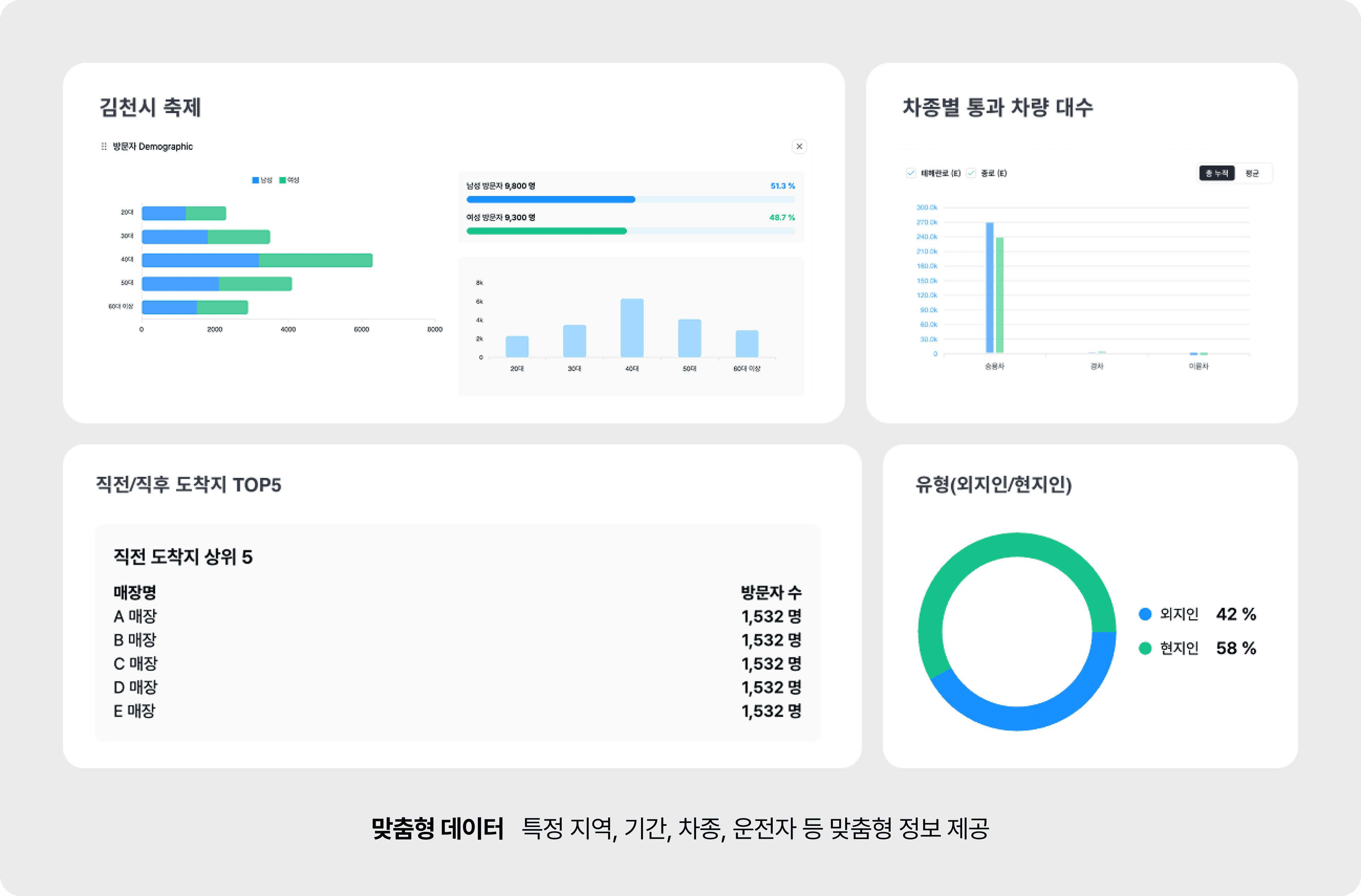 맞춤형 데이터